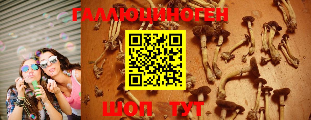 Астрахань  Галлюциногенные грибы MAGIC MUSHROOMS  Вход с VPN 