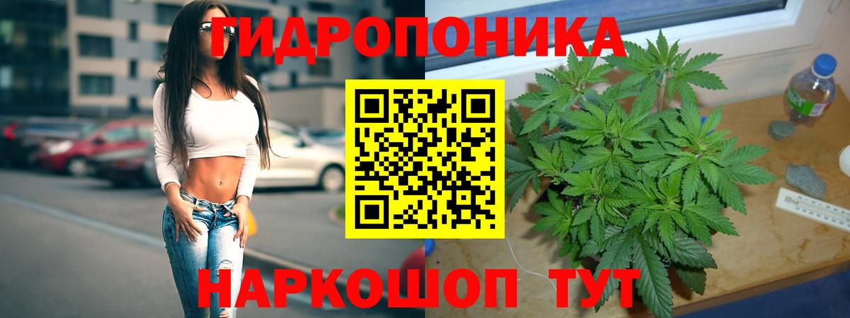 Бошки марихуана планчик  Марихуана тримм  Бошки марихуана гибрид  Вход с VPN  Астрахань 